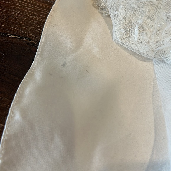 Justin Alexander Wedding Dress - not white - light gold - Picture 10 of 17